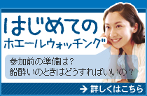 ホエールウォッチング初心者の方へ