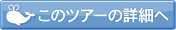 ホエールウォッチングツアーの詳細へ