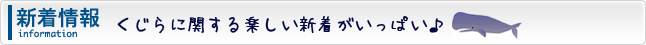 新着情報